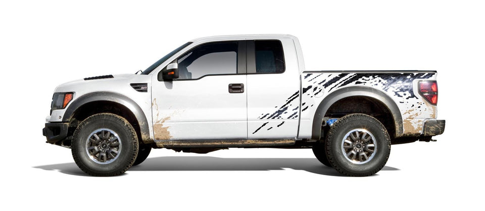 2010 F-150 Raptor  0401-9726