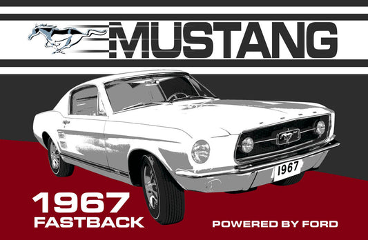 1967 Fastback 0402-6387