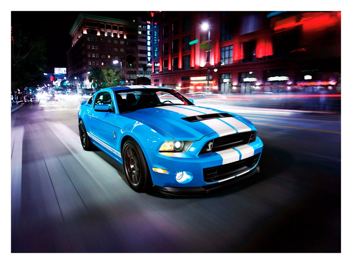 2014 Shelby GT500