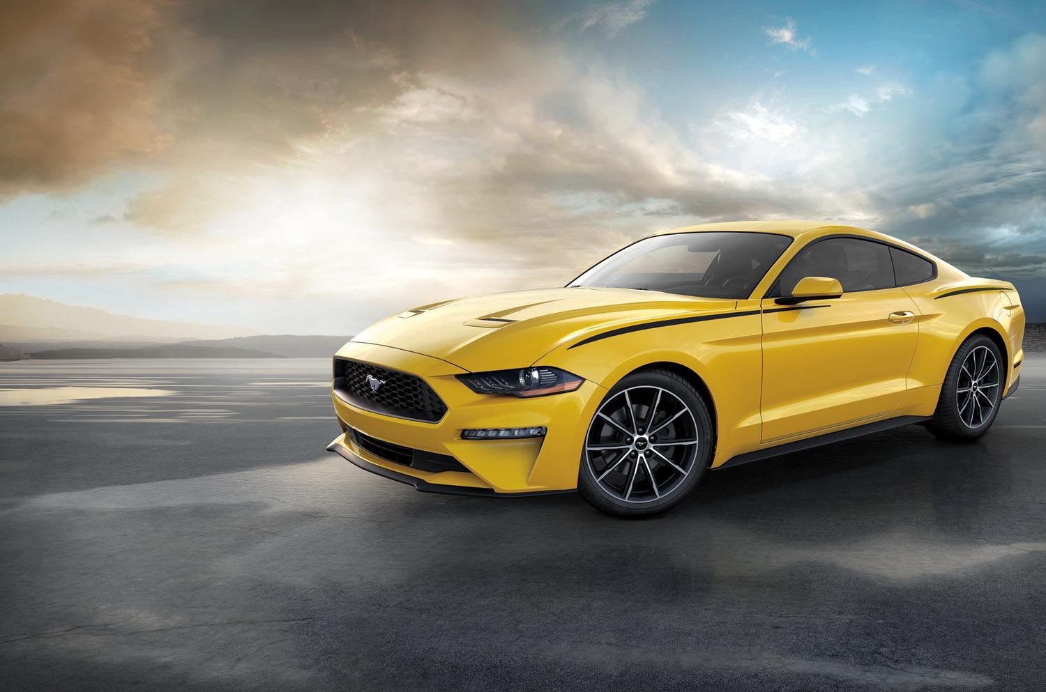2019 Mustang 0404-4706