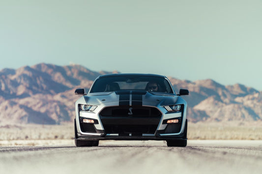 Shelby Mustang GT500  0404-4879
