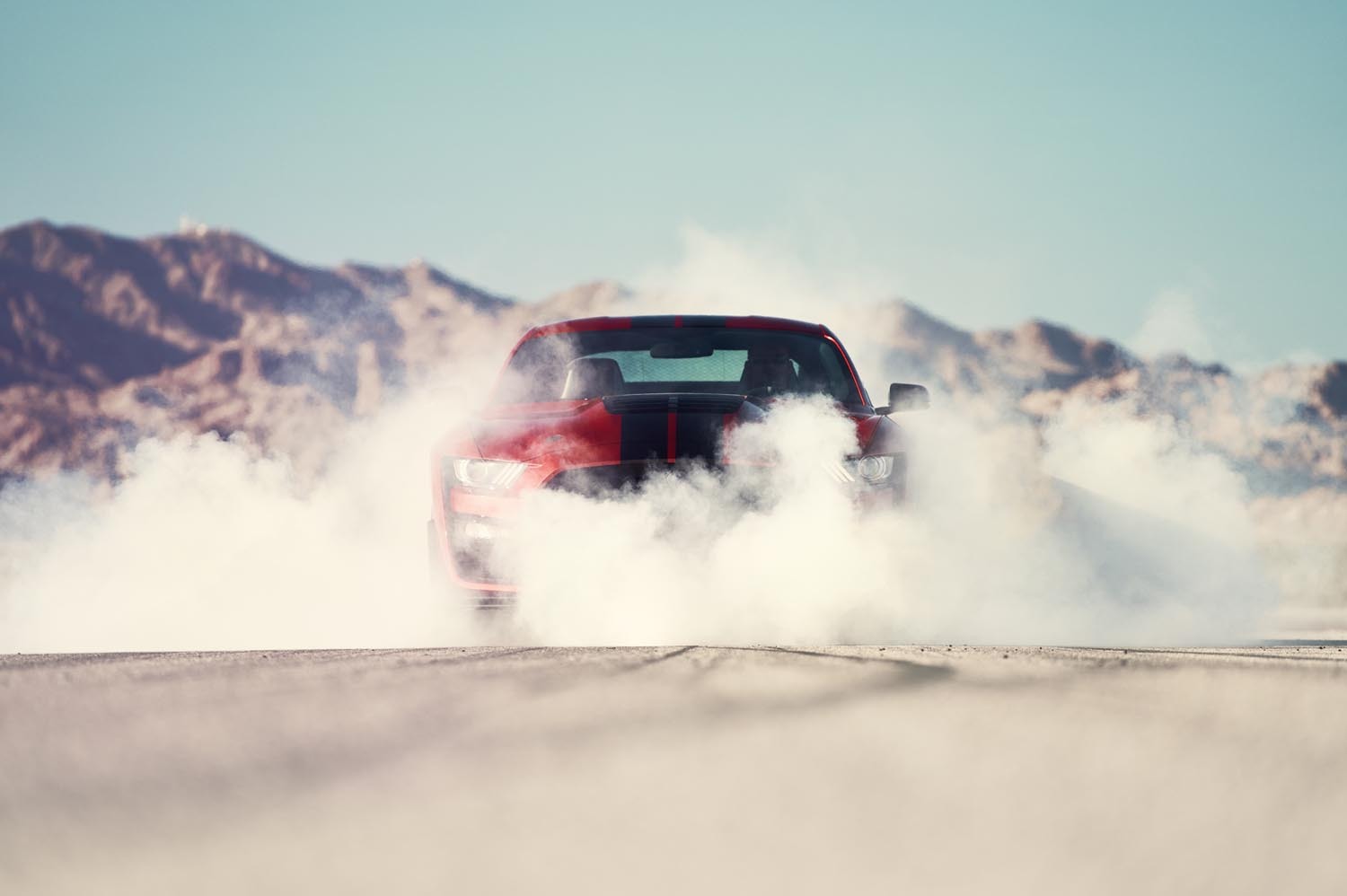 Shelby Mustang GT500  0404-4880