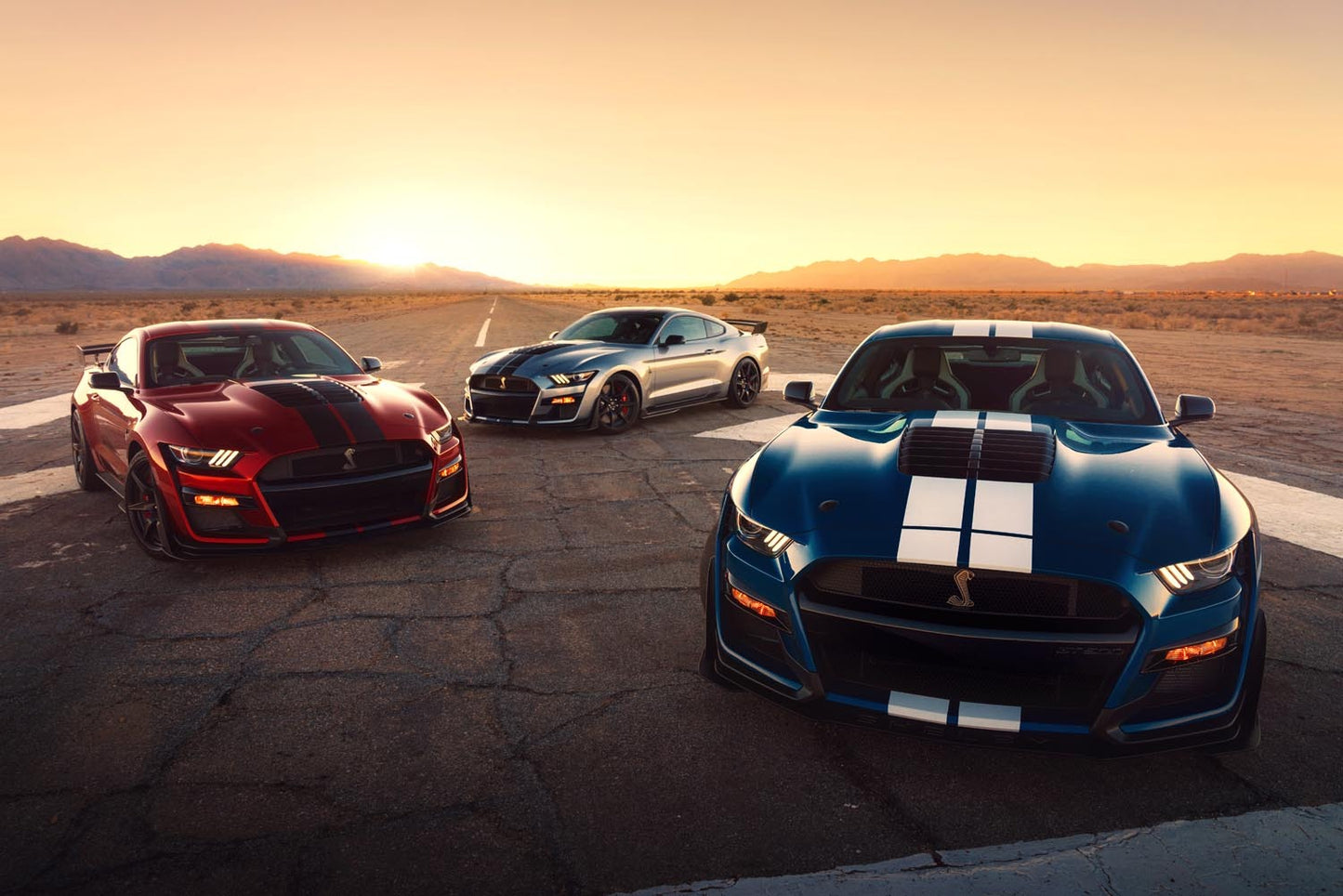 Shelby Mustang GT500  0404-4882