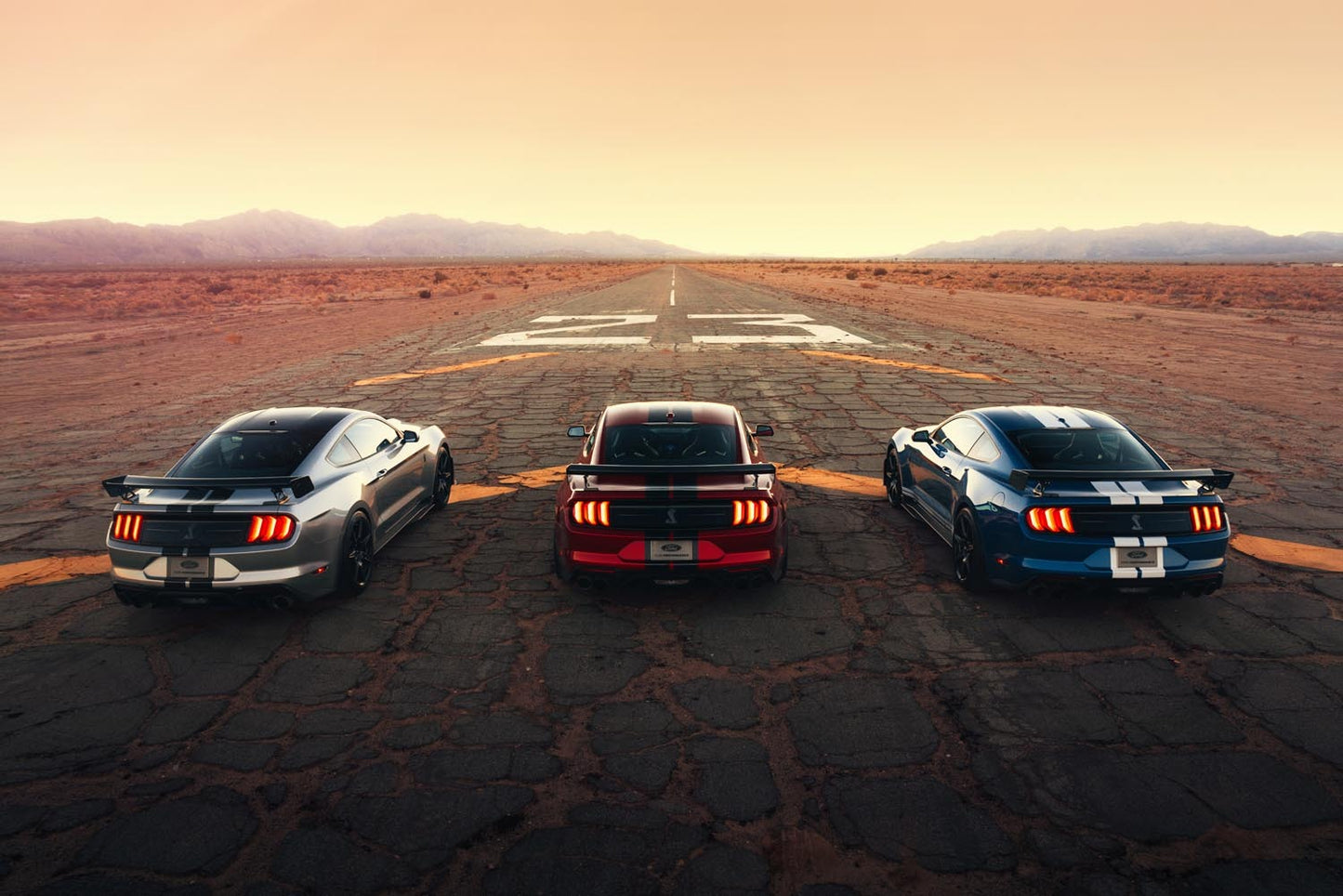 Shelby Mustang GT500  0404-4883