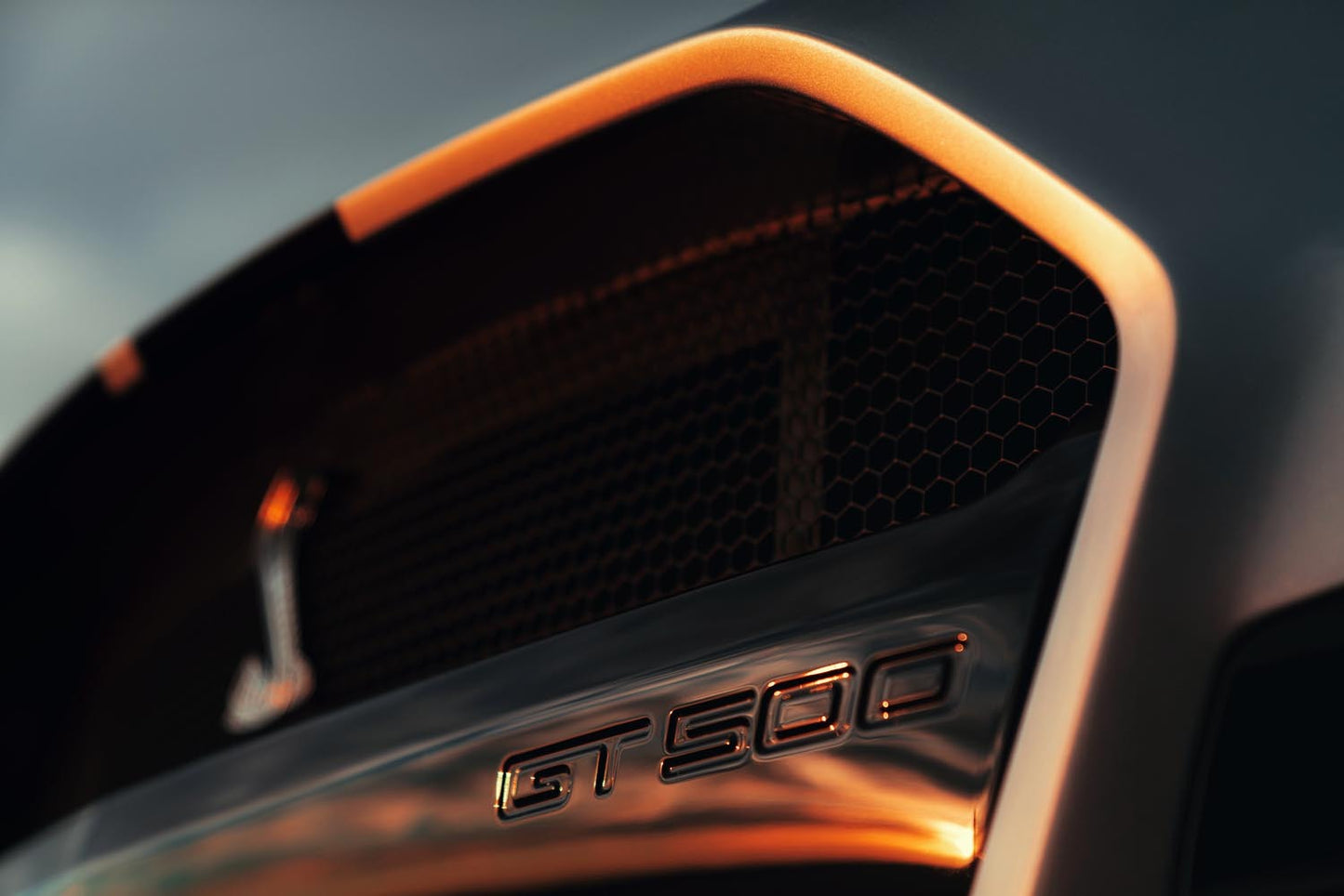 Shelby Mustang GT500  0404-4886