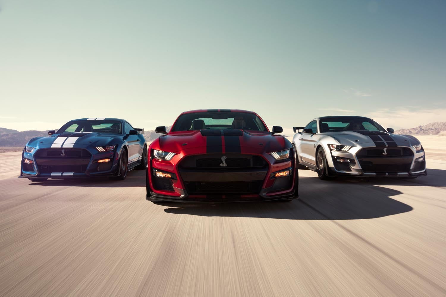 Shelby Mustang GT500  0404-4889