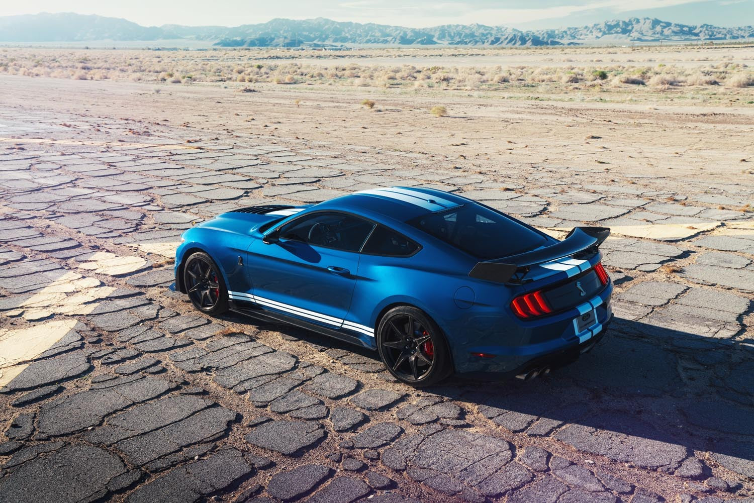 Shelby Mustang GT500  0404-4890