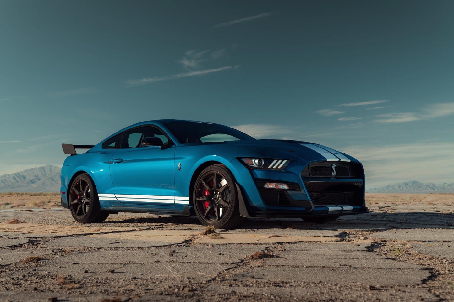 Shelby Mustang GT500  0404-4891