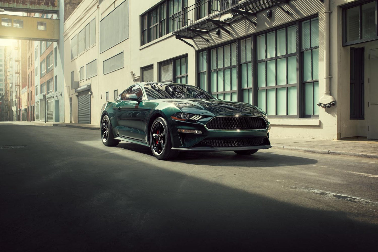 2020 Mustang  0404-4919
