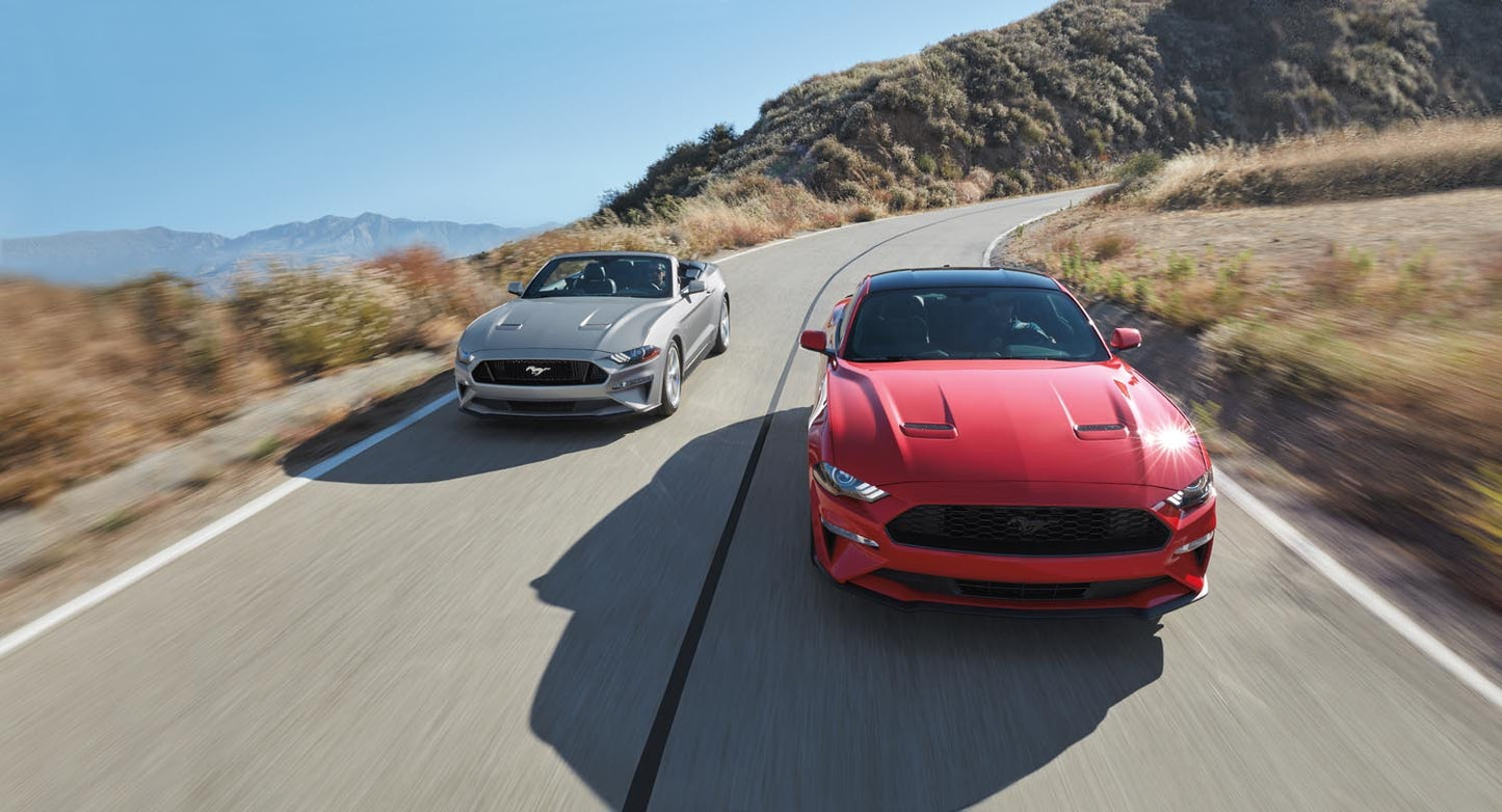 2020 Mustang  0404-4961
