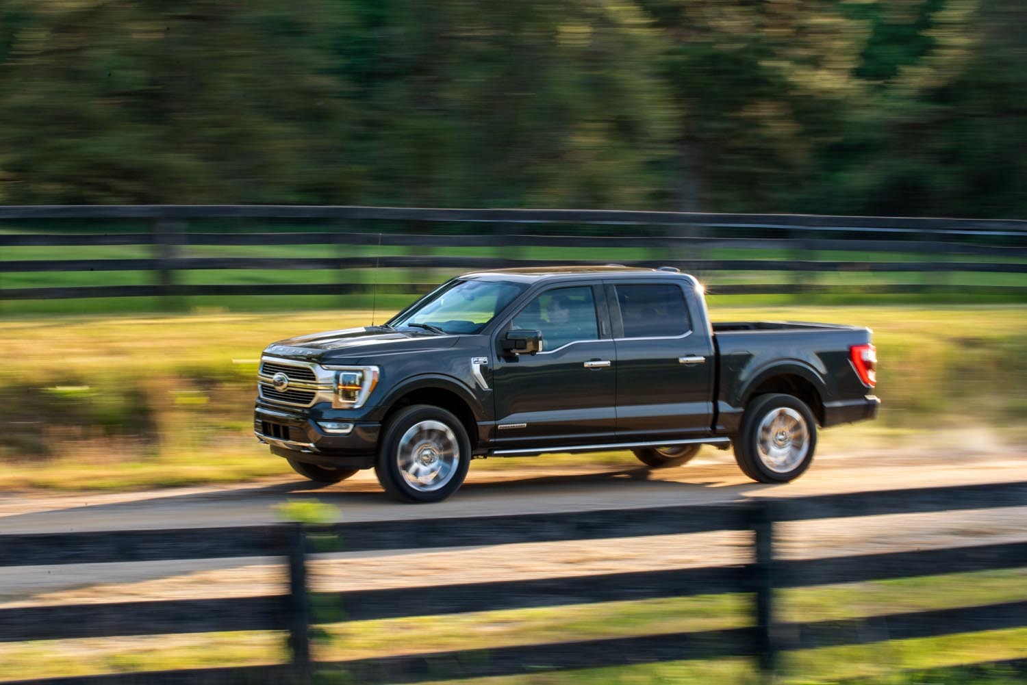 2021 F-150  0404-5695