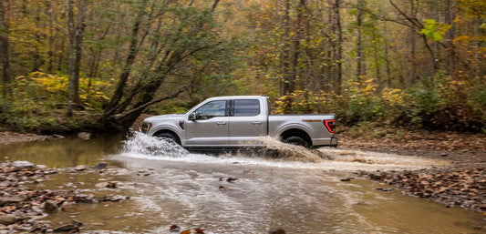 2021 F-150  0404-5698