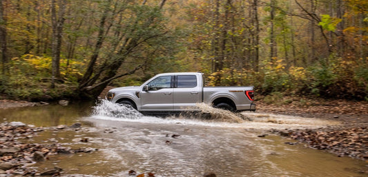 2021 F-150  0404-5698