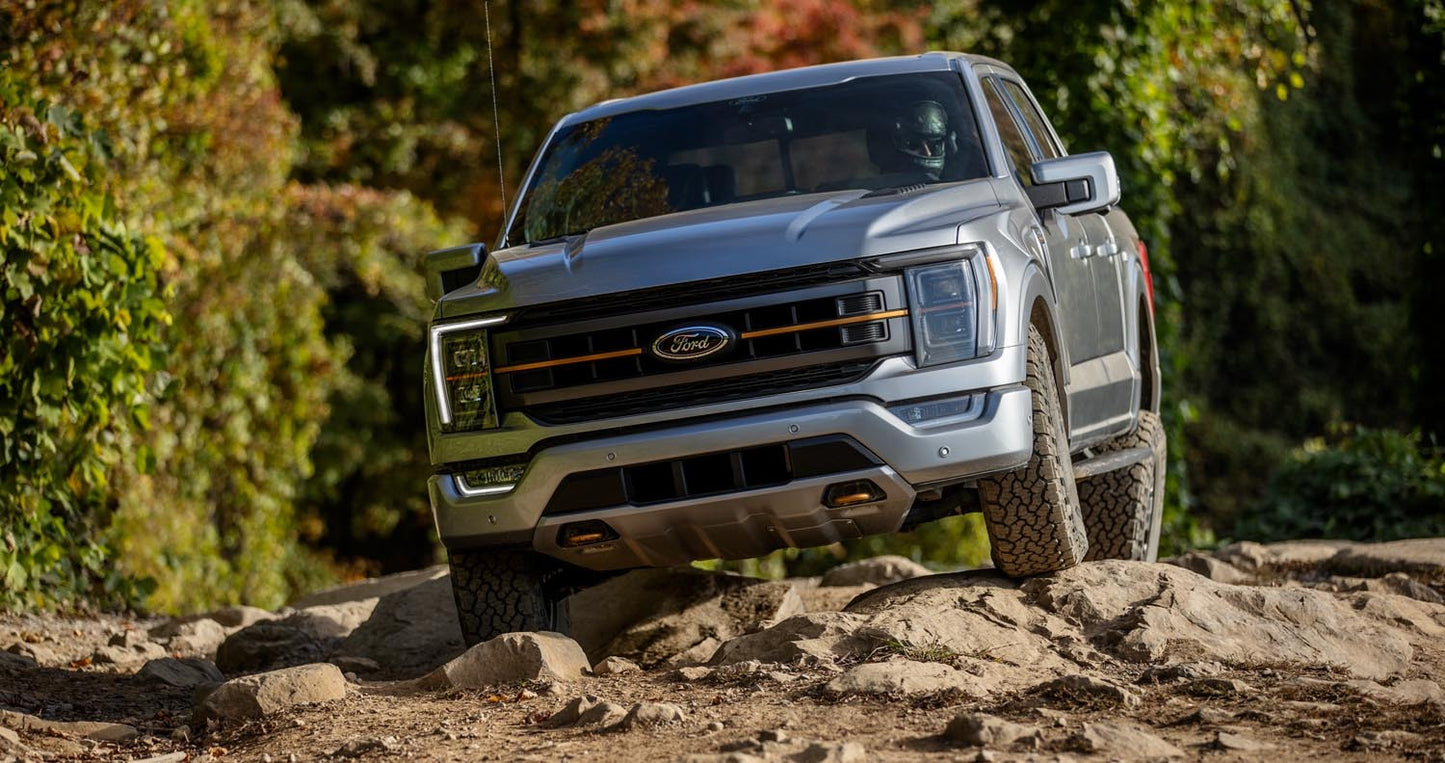 2021 F-150  0404-5699