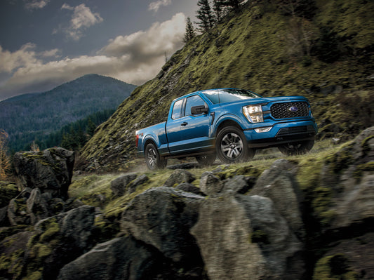  F-150 XL STX AppPckg 34Front Pass MntnRd  0404-5729