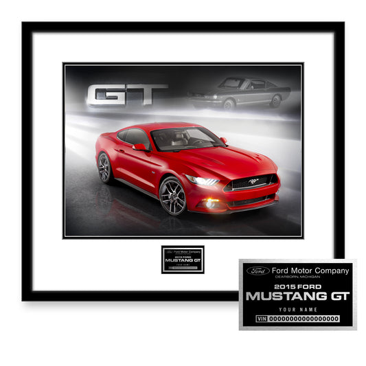 BUILD MY 2015 MUSTANG GT OWNERS EDITIONS