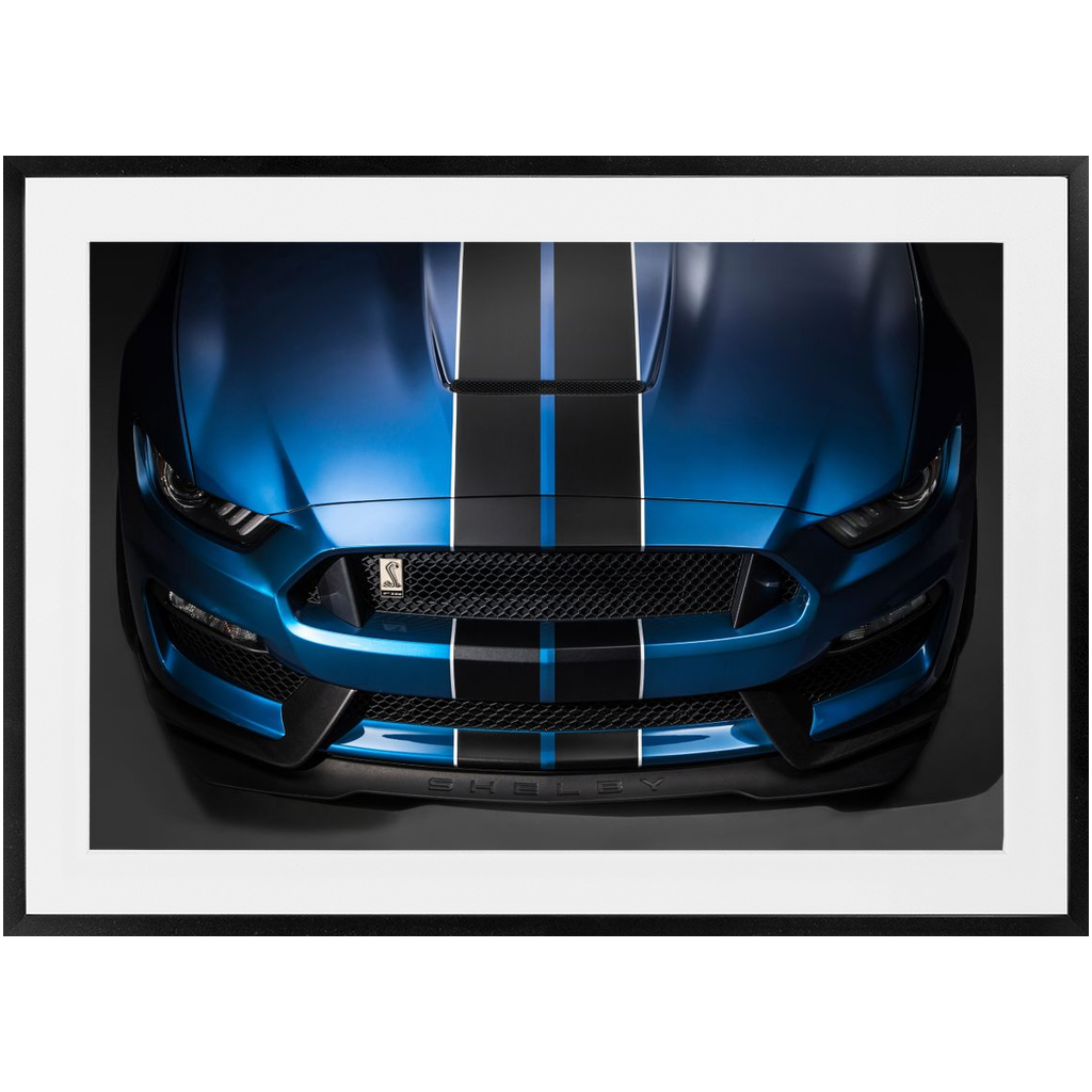 Shelby Framed Prints 24" x 36"