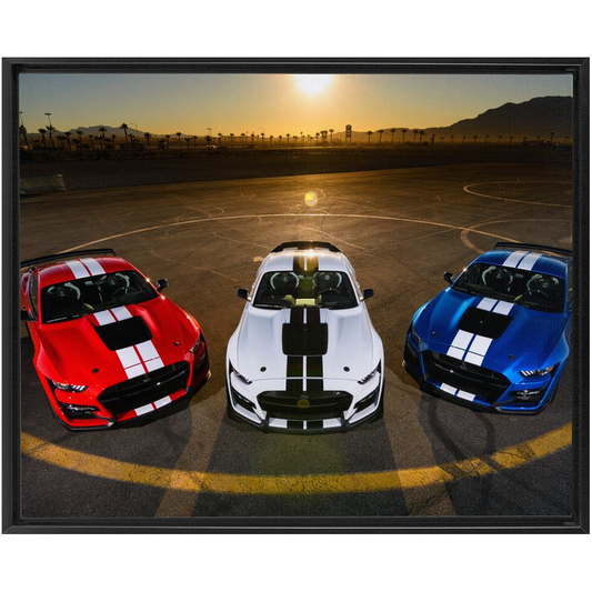 2020 Mustang Shelby GT500 Framed Traditional Stretched Canvas up to 48" x 60"