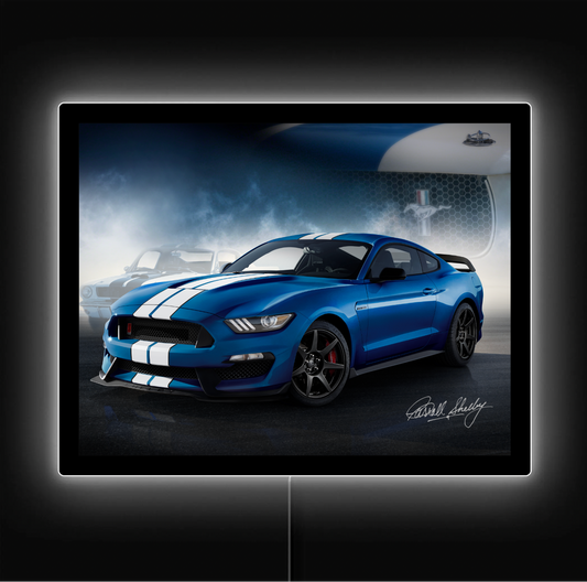 2015-2020 SHELBY GT350R LED OWNERS EDITION SIGN