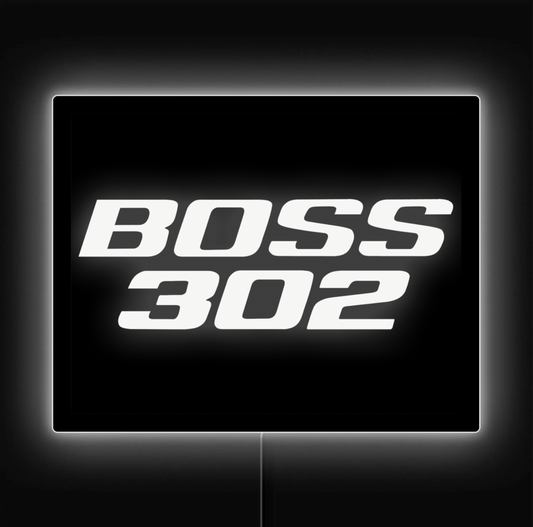 1969/70 & 2012/13 BOSS 302 LED