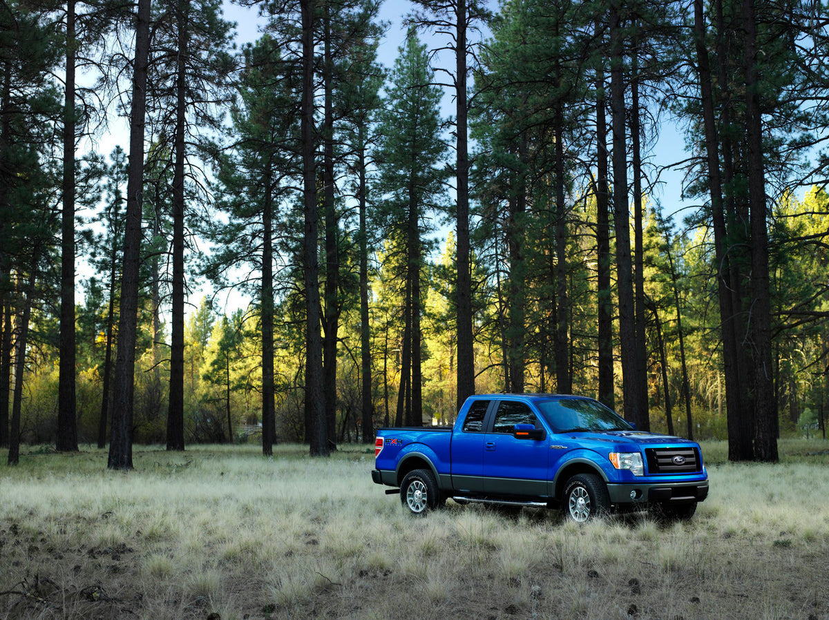 This archival image documents the 2009 Ford F-150 FX4 scenic forest and is preserved in the Ford Heritage Vault as part of Ford Motor Company's historic photographic archive. Free for personal, non-commercial use. Ford Heritage Vault reference AR-...
