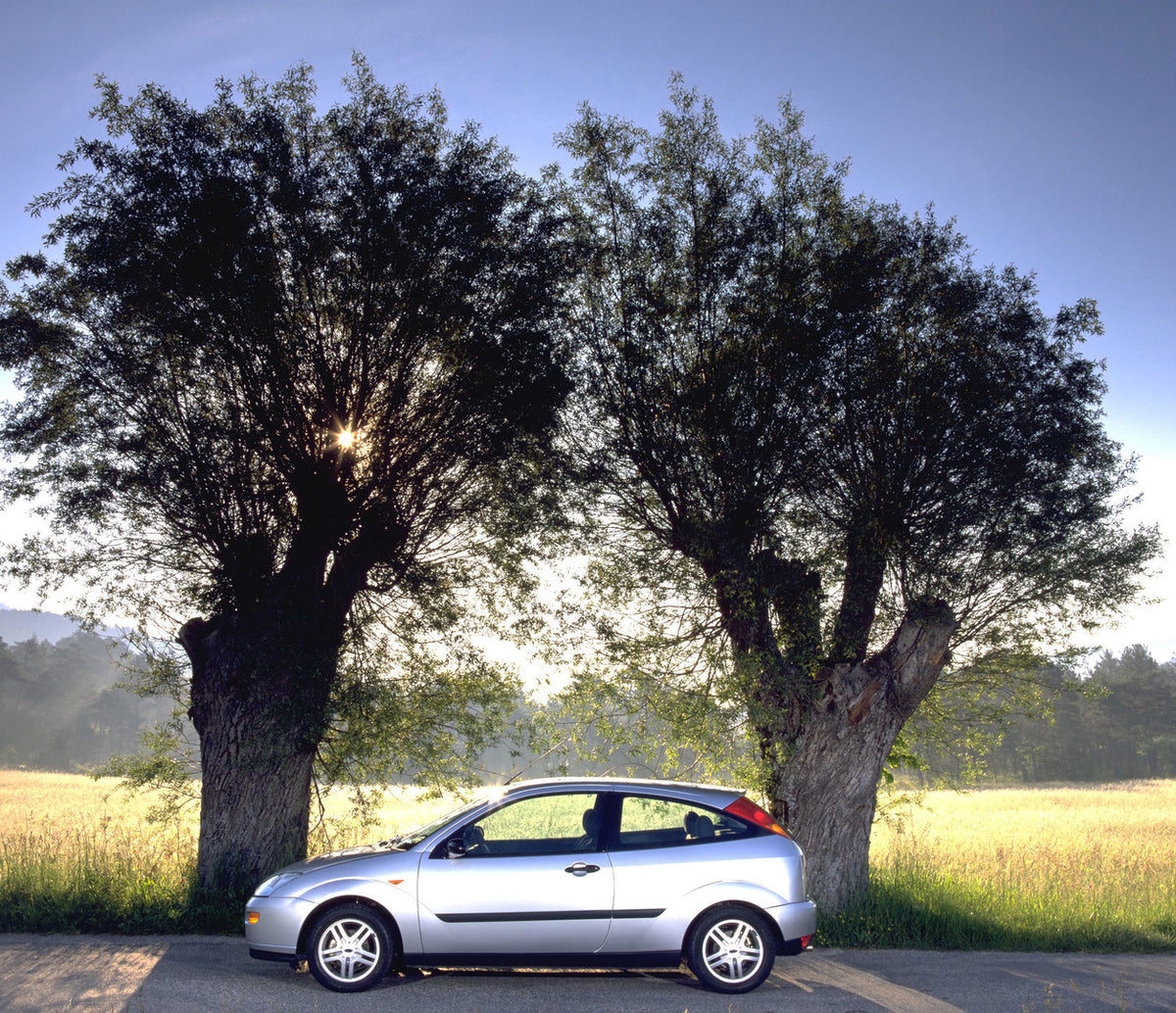 This archival image documents the 1998 Ford Focus side view with scenic trees and is preserved in the Ford Heritage Vault as part of Ford Motor Company's historic photographic archive. Free for personal, non-commercial use. Ford Heritage Vault ref...