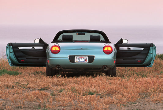2002 Ford Thunderbird convertible scenic with doors open HV 2002-0011