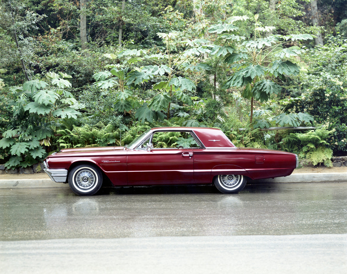 This archival image documents the 1964 Ford Thunderbird hardtop scenic and is preserved in the Ford Heritage Vault as part of Ford Motor Company's historic photographic archive. Free for personal, non-commercial use. Ford Heritage Vault reference ...