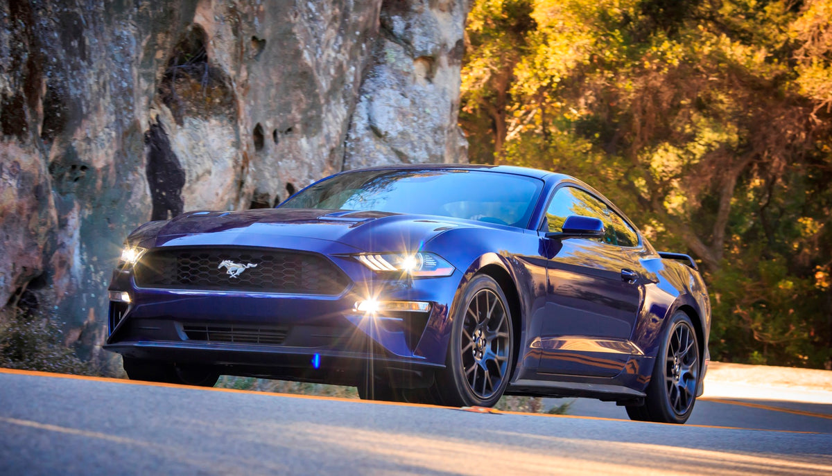 This archival image documents the 2018 Ford Mustang on scenic road MS and is preserved in the Ford Heritage Vault as part of Ford Motor Company's historic photographic archive. Free for personal, non-commercial use. Ford Heritage Vault reference A...
