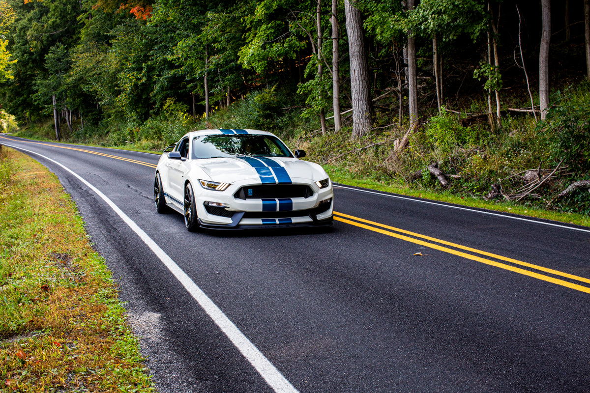 This archival image documents the 2020 Ford Mustang Shelby GT350R Heritage Edition on scenic road MS and is preserved in the Ford Heritage Vault as part of Ford Motor Company's historic photographic archive. Free for personal, non-commercial use. ...