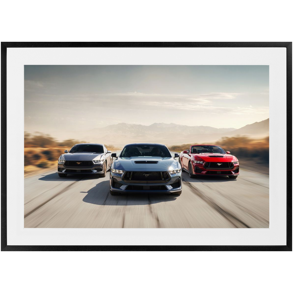 2024 Mustang Family Premium Framed Prints 24" x 36"