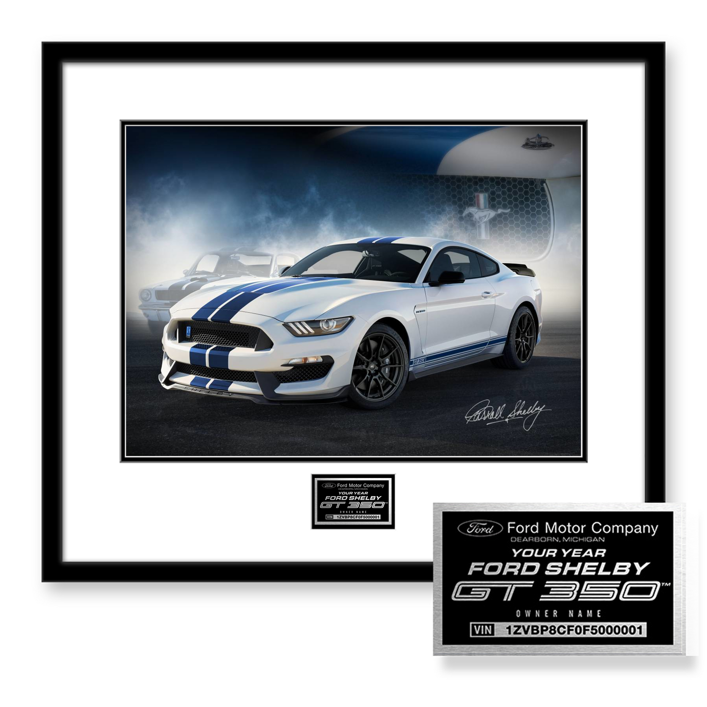 BUILD MY 2015-2020 SHELBY GT350 OWNERS EDITION